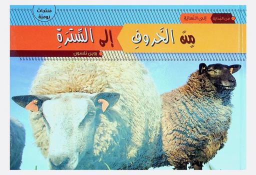  من الخروف إلى السترة