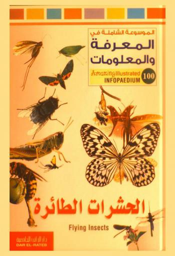  الحشرات الطائرة