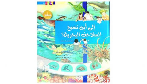 إلى أين تسبح السلاحف البحرية ؟ : البيئة-البحار والمحطيات