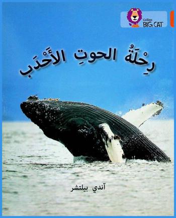  رحلة الحوت الأحدب