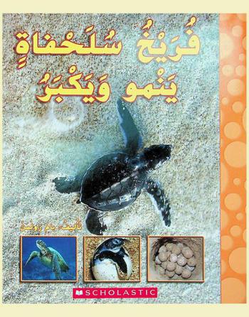  فريخ سلحفاة ينمو ويكبر