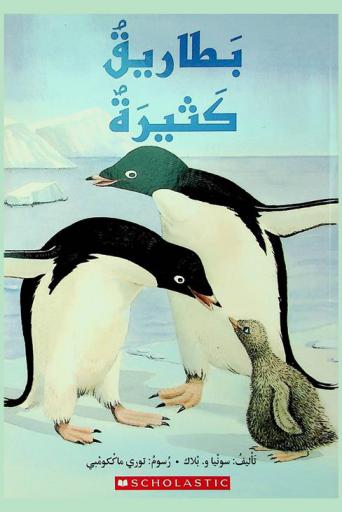  بطاريق كثيرة