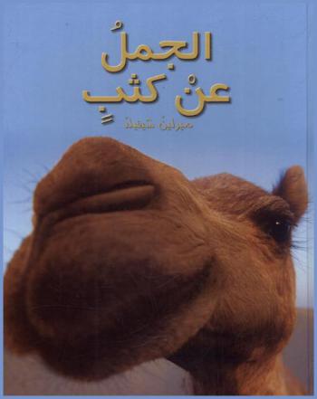 الجمل عن كثب
