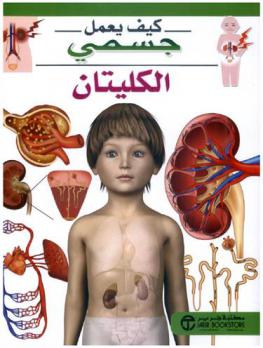 الكليتان