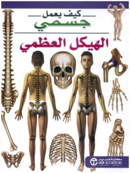 الهيكل العظمي