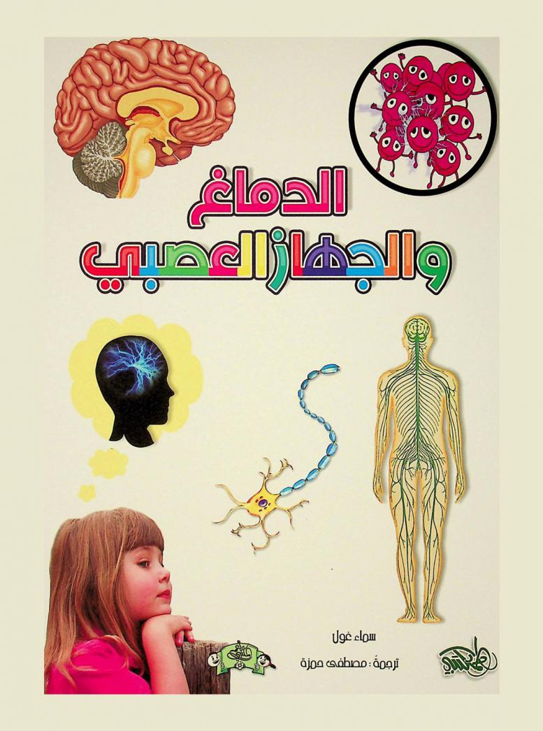 الدماغ والجهاز العصبي
