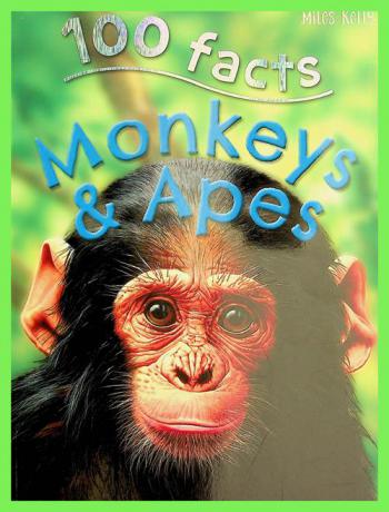  Monkeys & apes