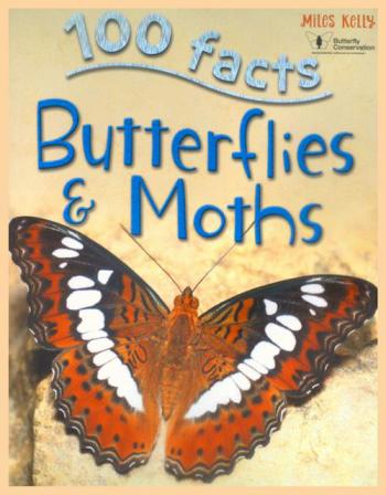  Butterflies & moths