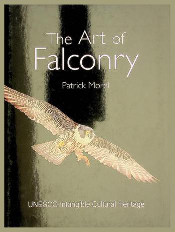 The art of falconry