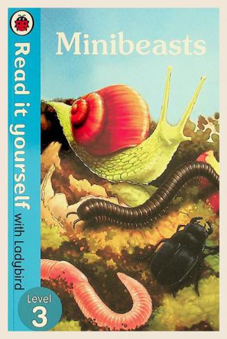 Minibeasts