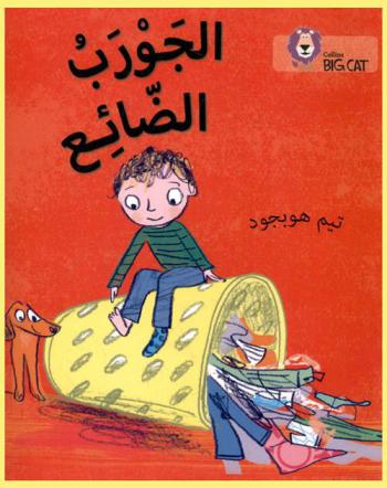 الجورب الضائع