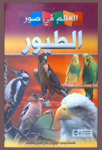 الطيور