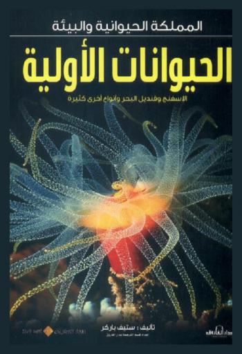  الحيوانات الأولية : الإسفنج وقنديل البحر وأنواع أخرى