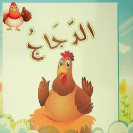  الدجاج