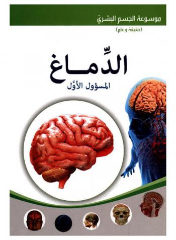  الدماغ : المسؤول الأول