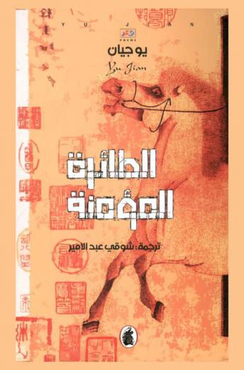  الطائرة المؤمنة