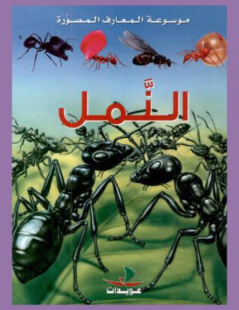 النمل