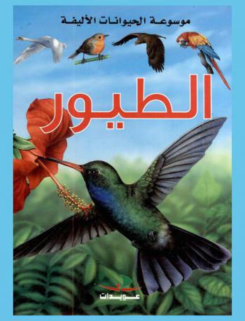 الطيور