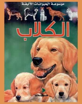 الكلاب