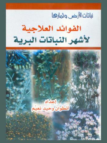  الفوائد العلاجية لأشهر النباتات البرية