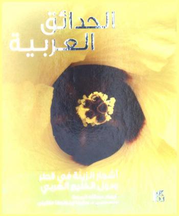  الحدائق العربية : أشجار الزينة في قطر ودول الخليج العربي