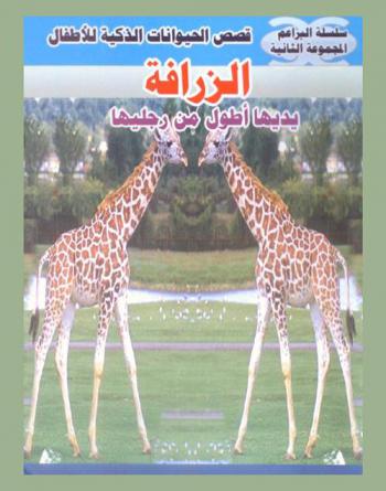  الزرافة .. : يداها أطول من رجليها