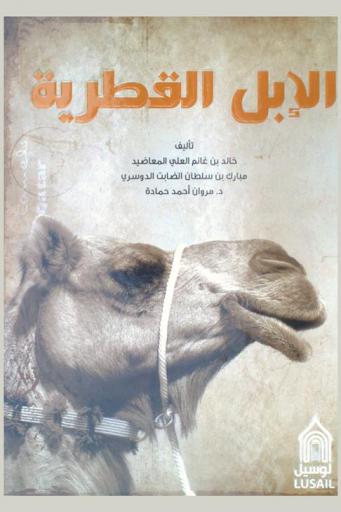 الإبل القطرية