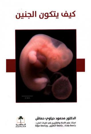  كيف يتكون الجنين ؟