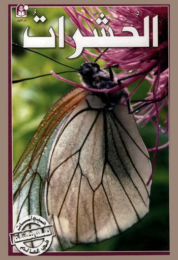  الحشرات