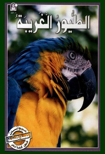 الطيور الغريبة