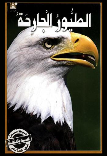 الطيور الجارحة