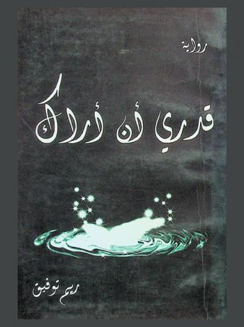  قدري أن أراك : رواية