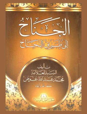  الجناح إلى طريق النجاح