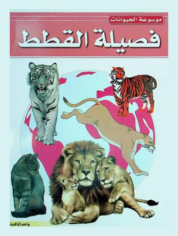  فصيلة القطط