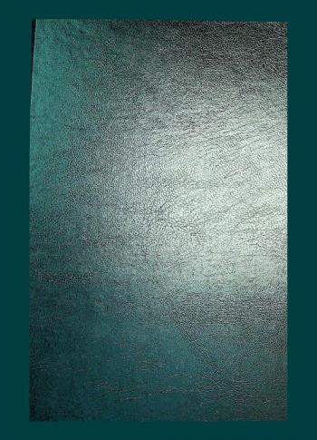  الدون الهادئ