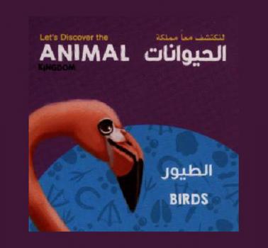 الطيور