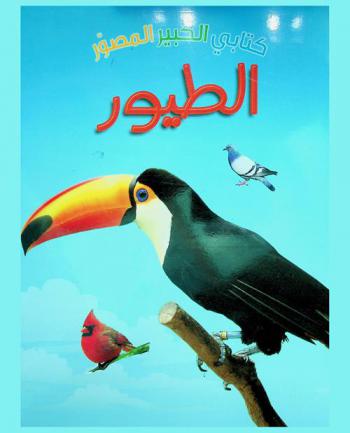 الطيور