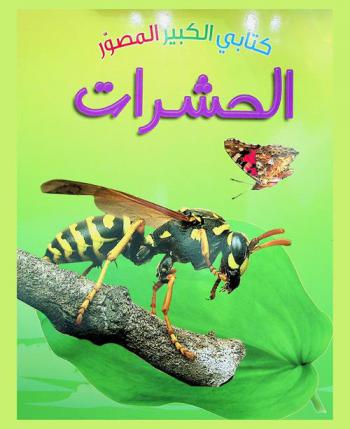  الحشرات