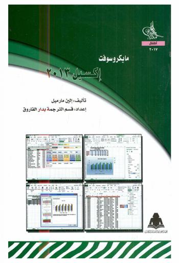  مايكروسوفت إكسيل 2013