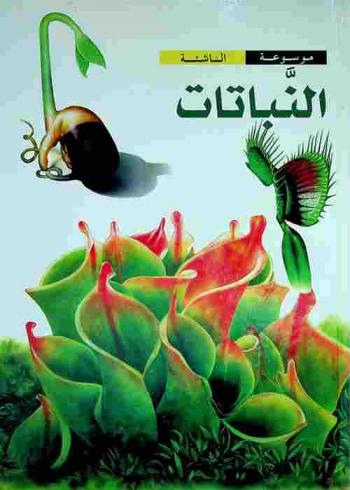  النباتات