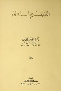 التنظيم الدولي