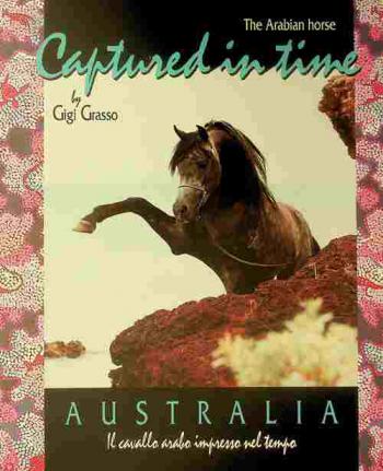  The Arabian horse captured in time = Australia il cavallo arabo impresso nel tempo