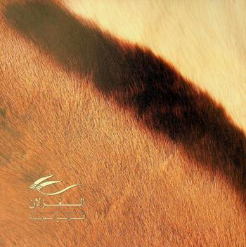 الغزلان في المرابع العربية = Gazelle at Arabian Ranches