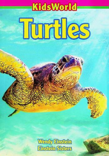  Turtles
