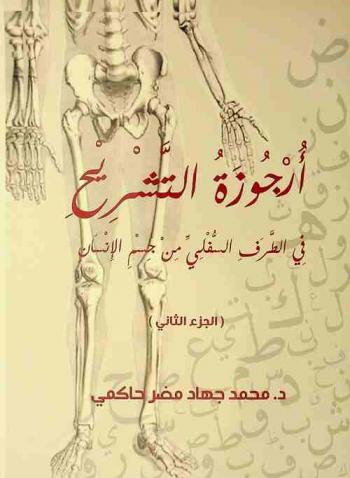 أرجوزة التشريح في الطرف السفلي من جسم الإنسان