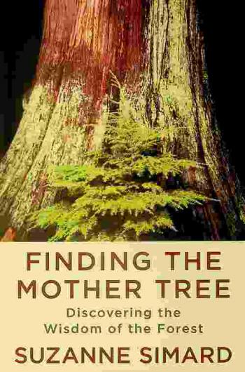  Finding the mother tree : discovering the wisdom of the forest