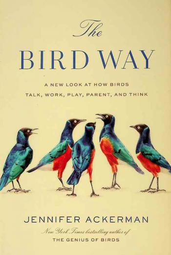  The bird way : a new look at how birds talk, work, play, parent, and think