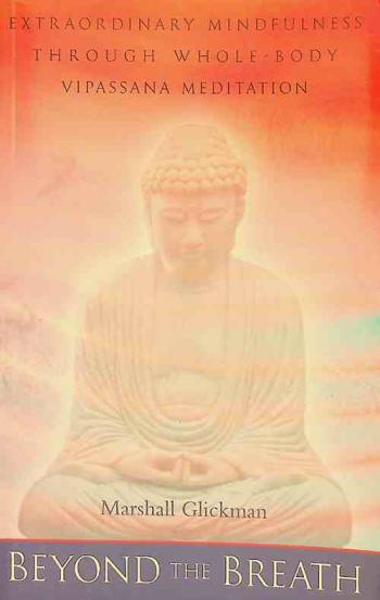  Beyond the breath : extraordinary mindfulness through whole-body Vipassana meditation