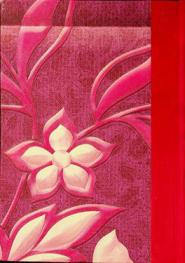 إيران : ماضيها وحاضرها