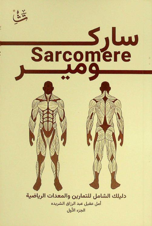  ساركومير = Sarcomere : دليلك الشامل للتمارين والمعدات الرياضية